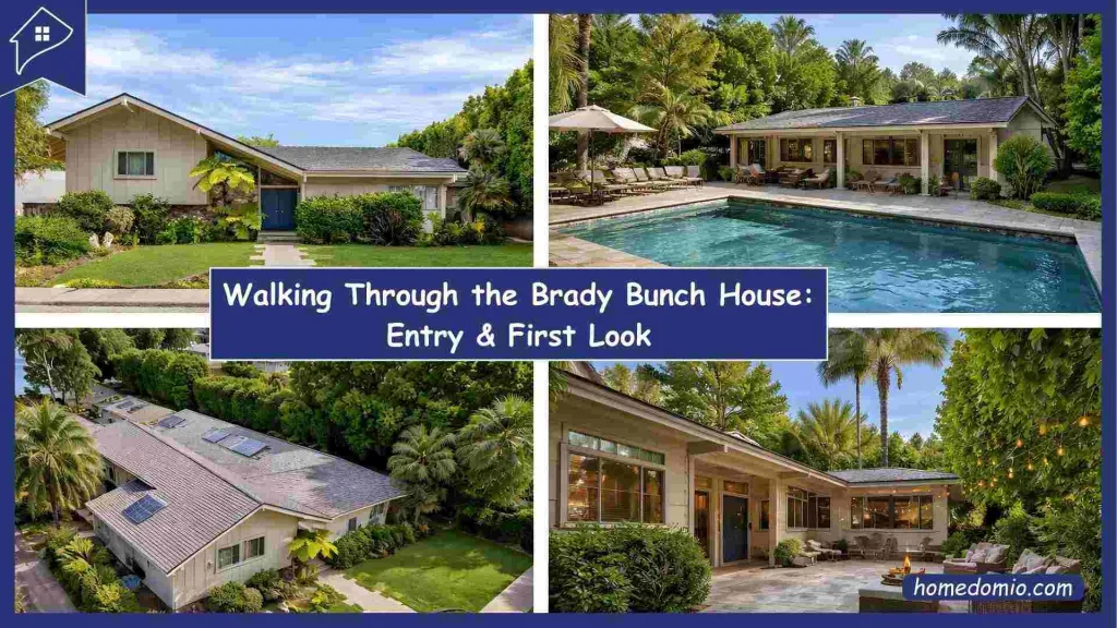 Entry the House & First Impression