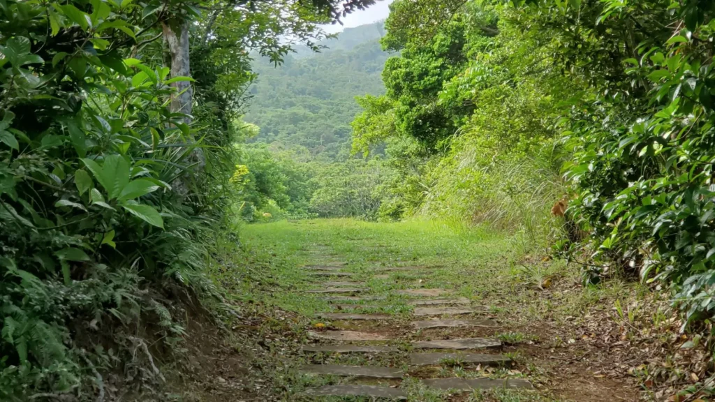 puu-pia-trail-best-time-to-go